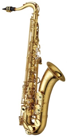 YANAGISAWA TWO-1 Tenor 柳澤 次中音薩克斯風